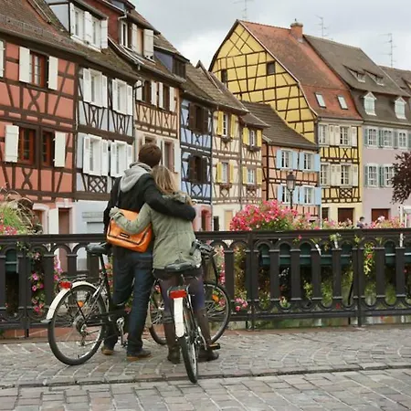 Au Buisson De Roses Apartament Colmar