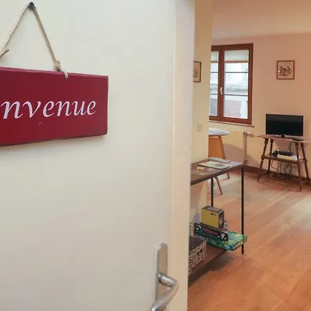 Au Buisson De Roses Apartament Colmar