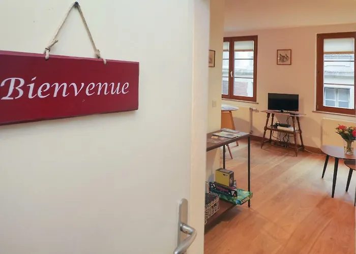 Au Buisson De Roses Apartment Colmar